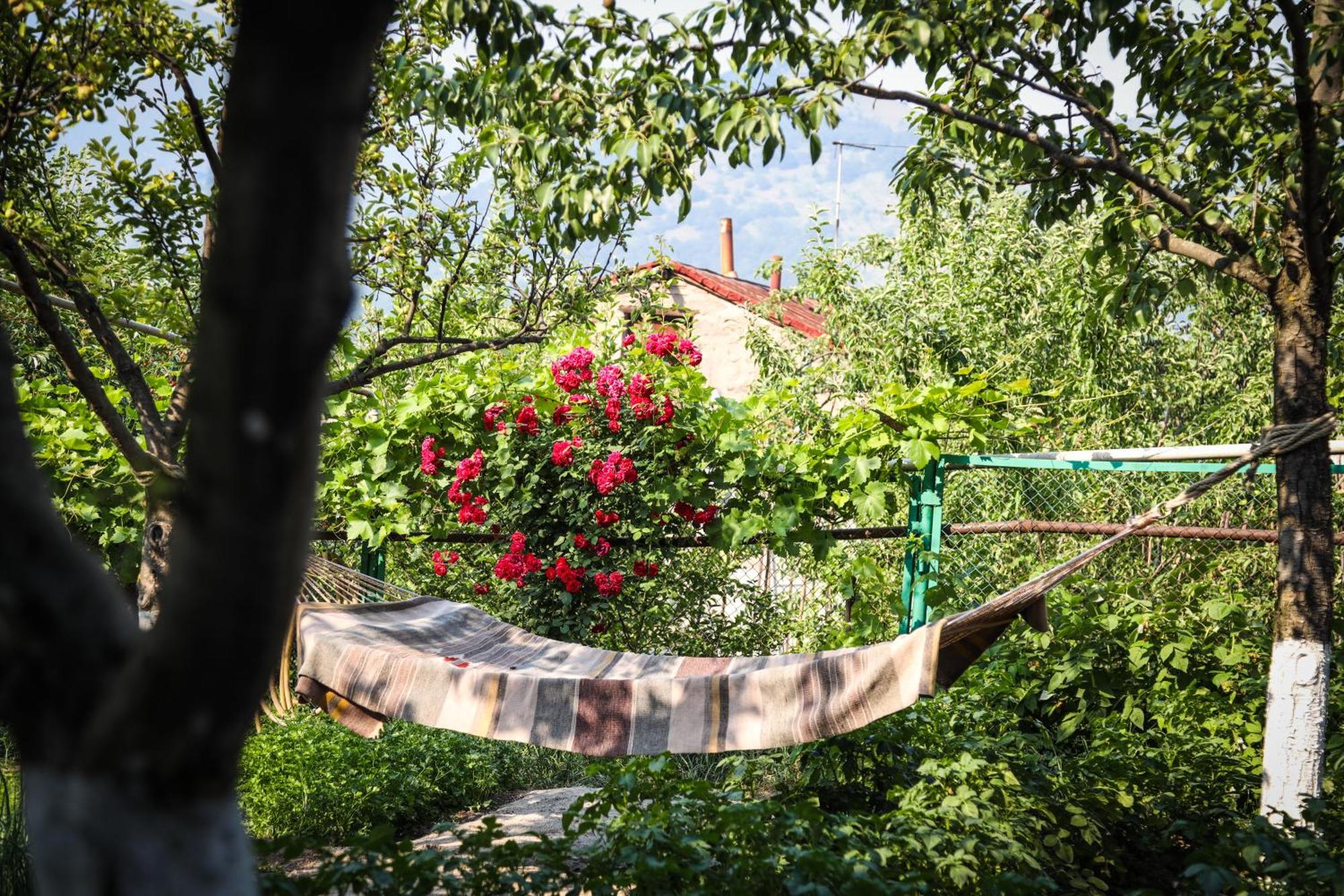 Hayi Tun Guest House Goris Extérieur photo